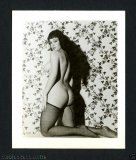 vintage_erotica_2642.jpg